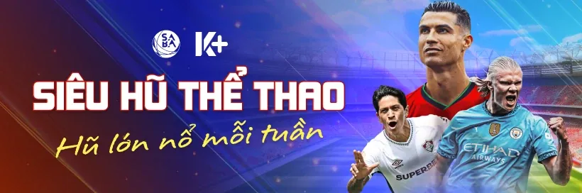 Hình ảnh minh họa các loại Cookie khác nhau được FCB8 sử dụng